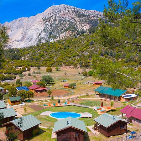 Babakamp Eco Ranch & Retreat Hotel Ölüdeniz Eksteriør billede