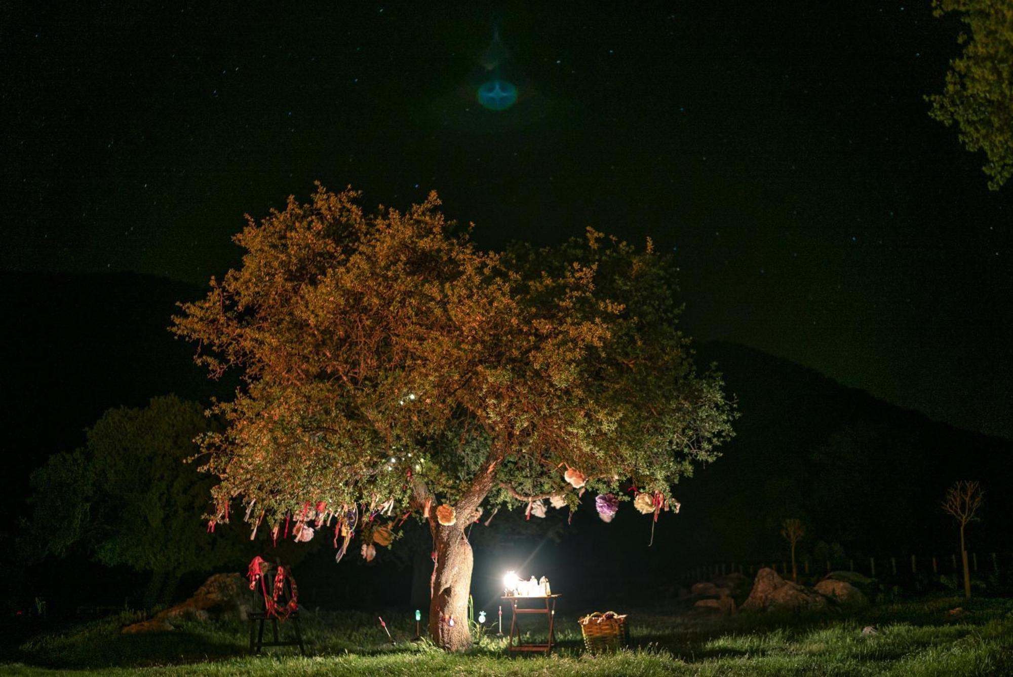 Babakamp Eco Ranch & Retreat Hotel Ölüdeniz Eksteriør billede