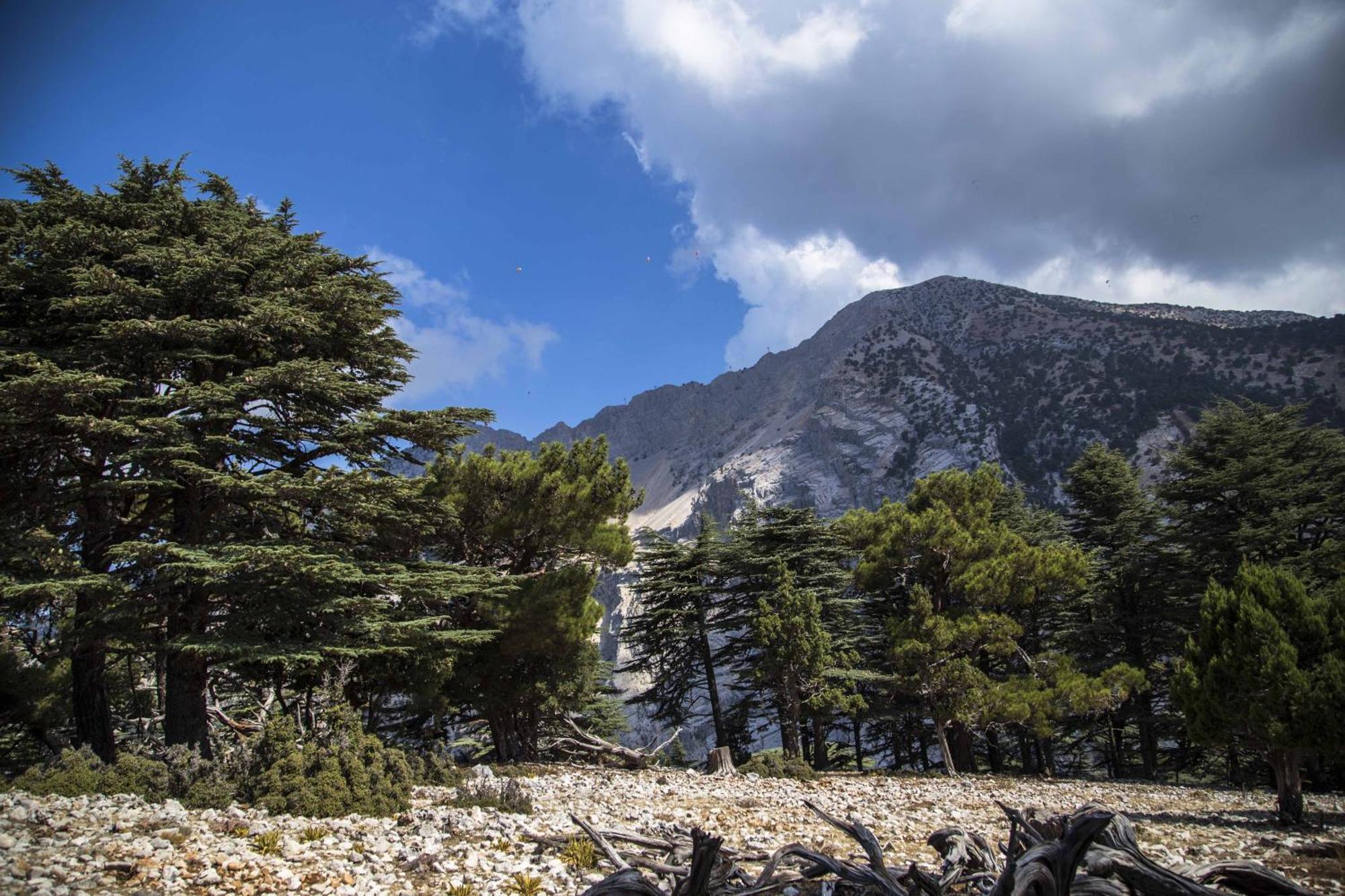 Babakamp Eco Ranch & Retreat Hotel Ölüdeniz Eksteriør billede