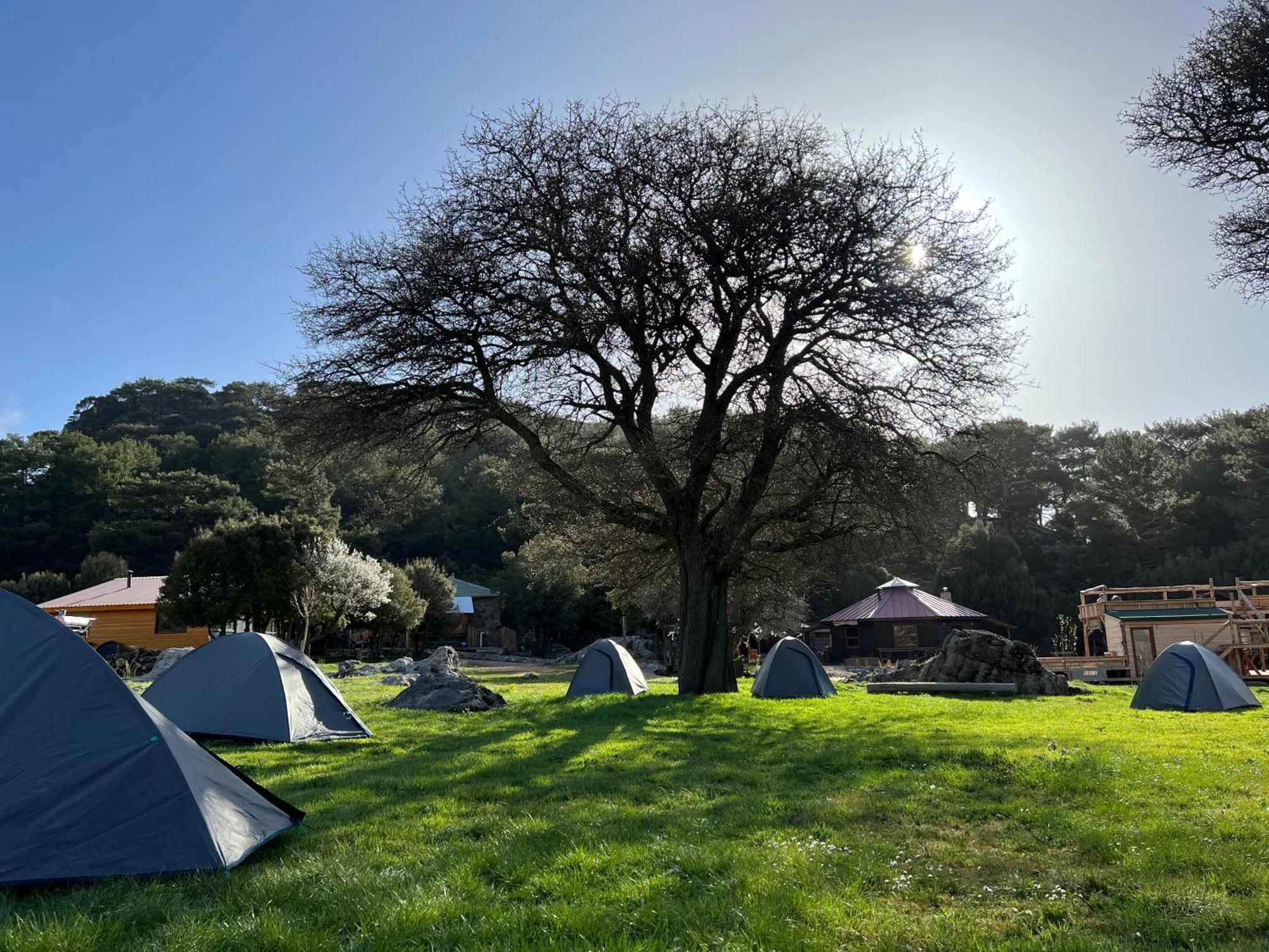 Babakamp Eco Ranch & Retreat Hotel Ölüdeniz Eksteriør billede